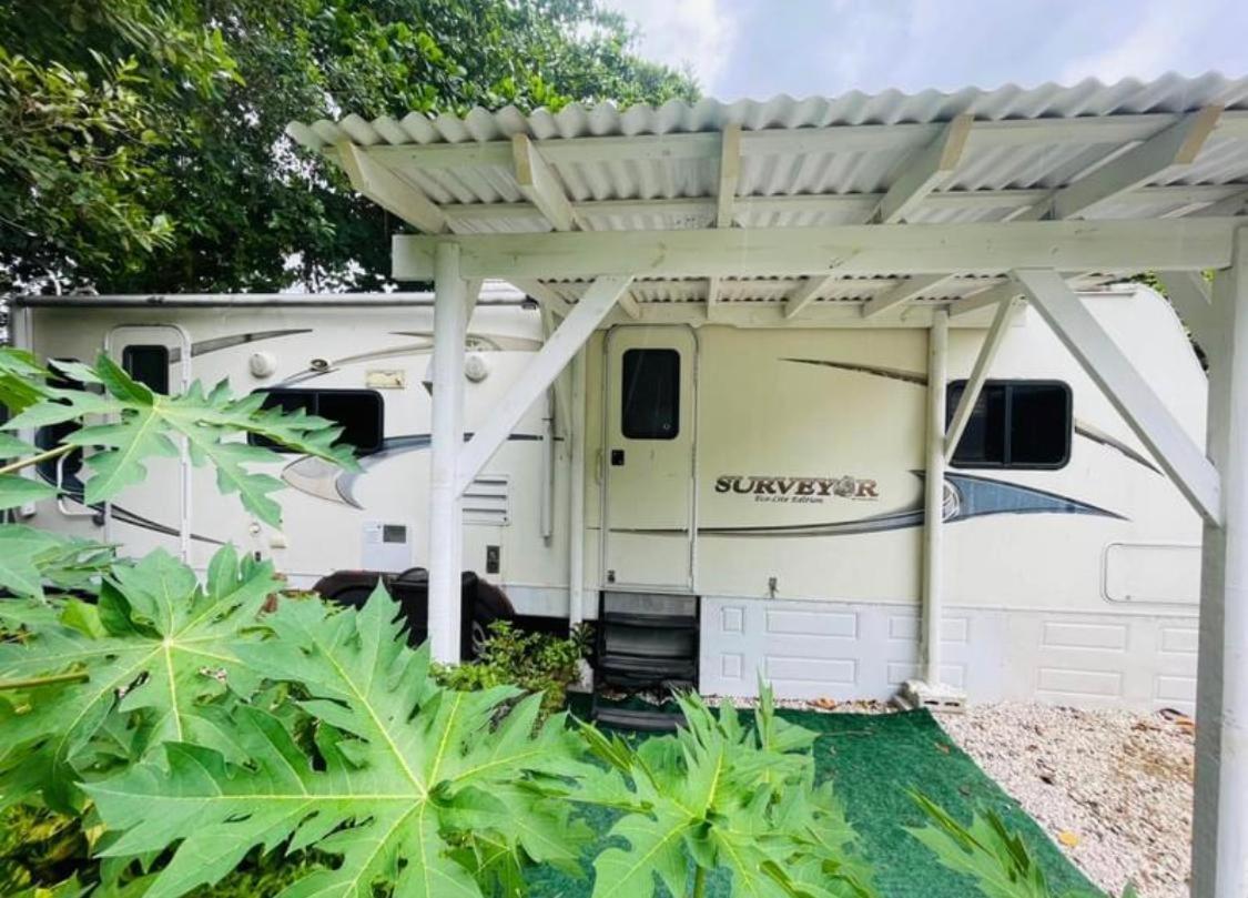 Rv In The Little Jungle By Legnalife Campingplatz *